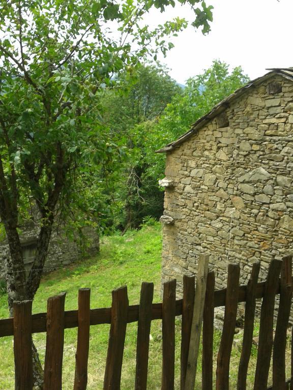 Гостевой дом La Casa Nel Bosco-Senza Auto Ponte della Venturina Номер фото