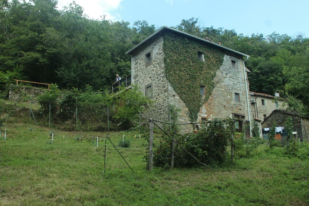Гостевой дом La Casa Nel Bosco-Senza Auto Ponte della Venturina Экстерьер фото